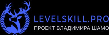 Levelskill.pro