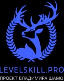 Levelskill.pro